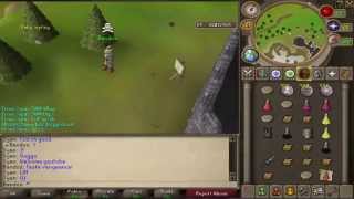 RecklessPk - Bandos -  RiskFighting