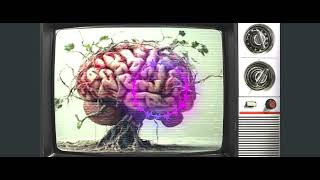 THE BRAIN ROT RAP (not a rap)