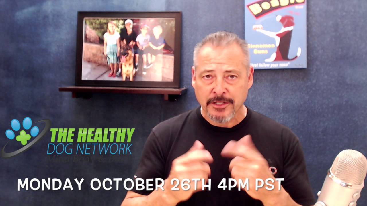 Live Broadcast of The Healthy Dog Network