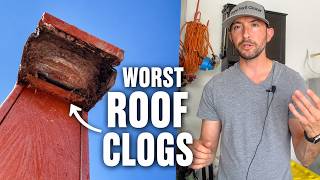 Stop Ignoring Your Dryer Vent: What I Found On The Roof