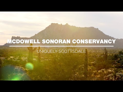 Video: Beste Wandelingen In Het McDowell Sonoran Preserve, Scottsdale, Arizona