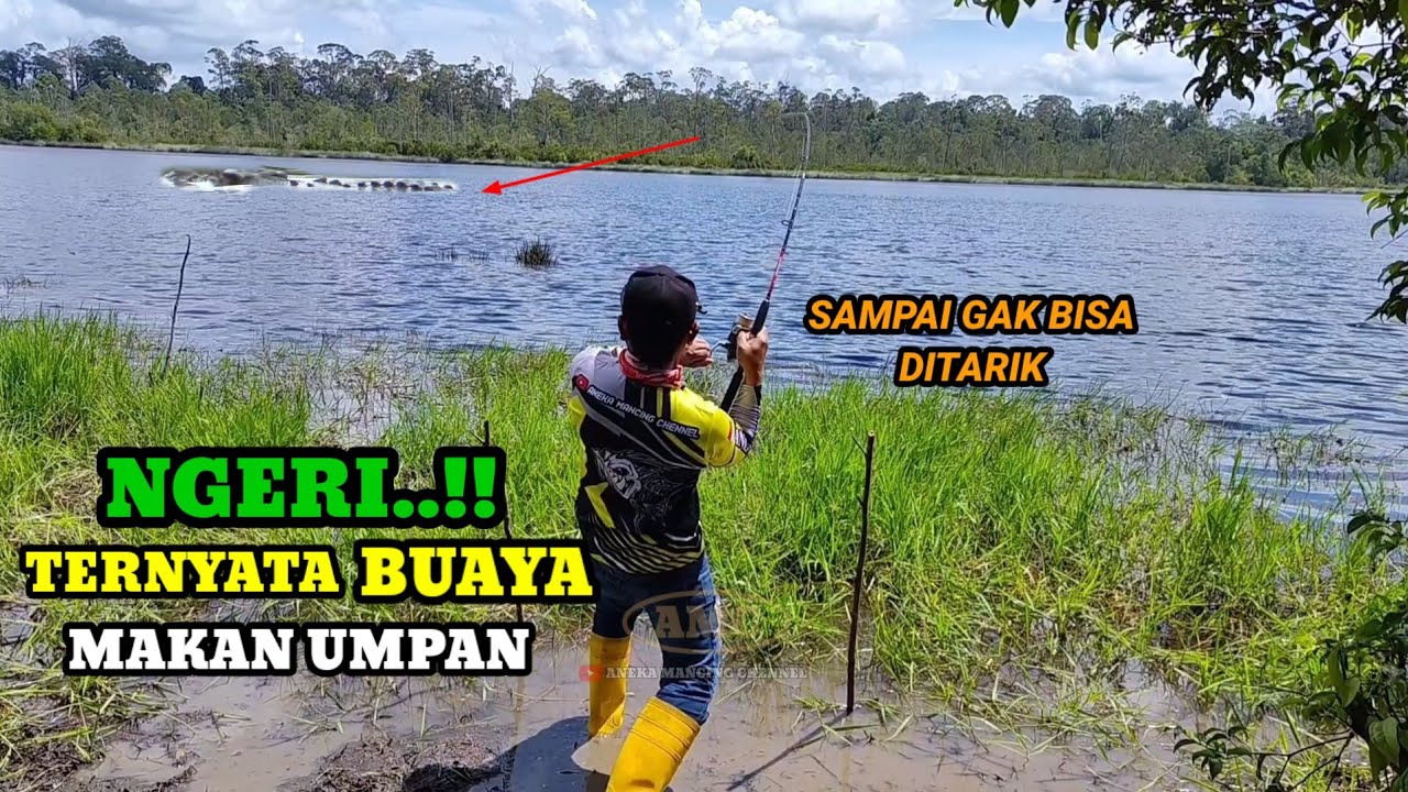 GAK BISA DITARIK..!!Dipikir Strike Ikan Besar Ternyata Strike Buaya