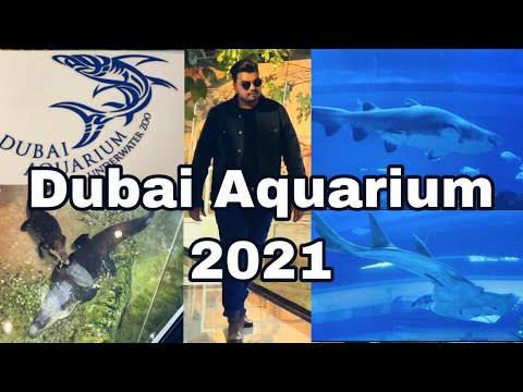 Dubai Aquarium (Under water Zoo) (SHARKS-CROC)/Adnan Ak Vlogs / Dubai 2021##lotsofenjoy#