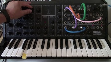 Korg MS-20 a simple techno loop 22 #korgms20