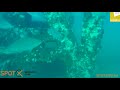 Shoalhaven Offshore Artificial Reef 2018  **HD**