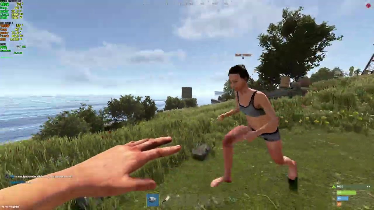 RUST on the RTX 4060 8GB