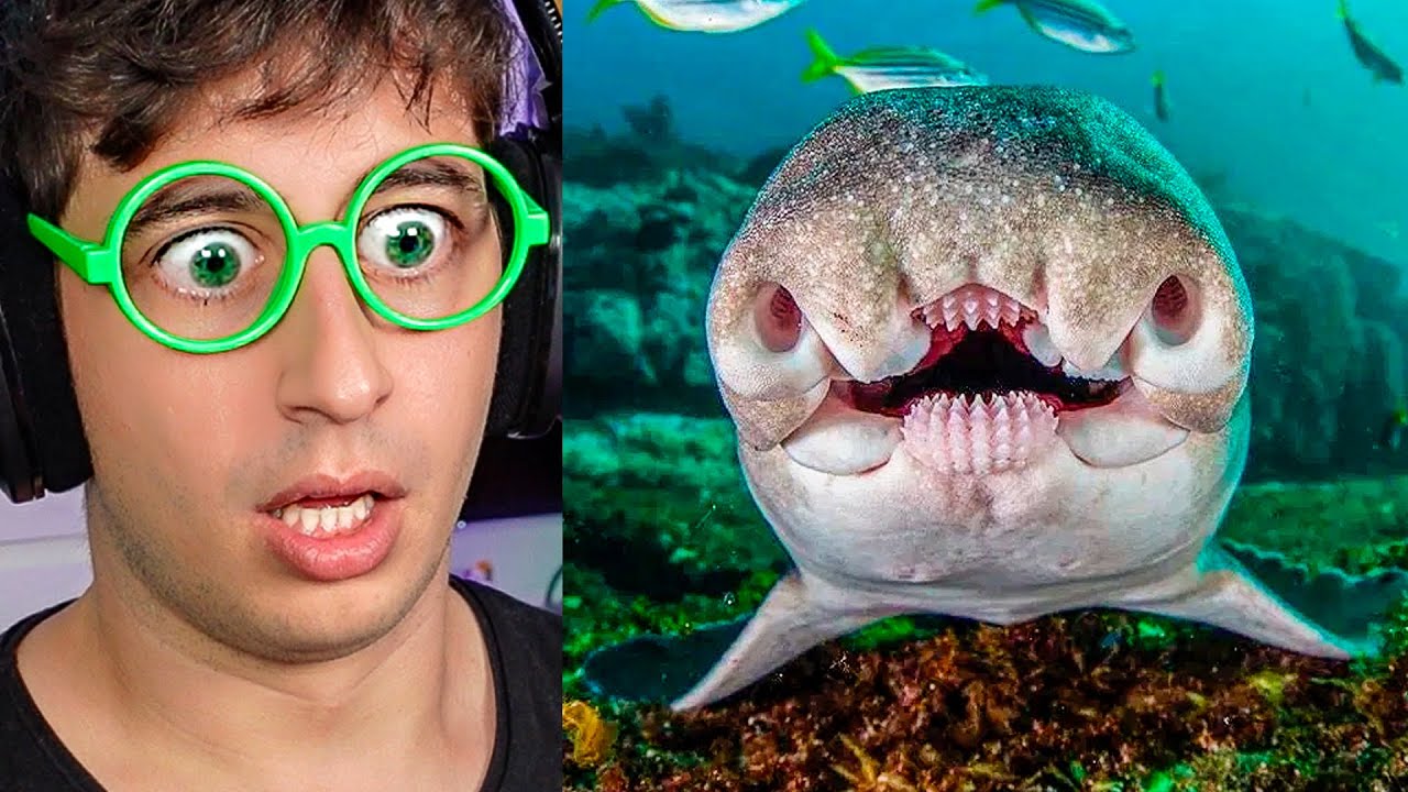 COSAS QUE NO SABÍAS HACE 5 MINUTOS #7 - tekendo