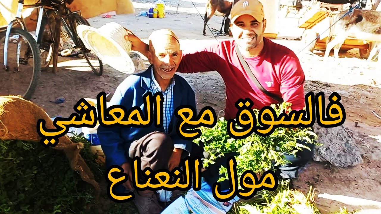 أجواء السوق من خميس زيمة مرحبا بيكم عند المعاشي