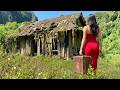 365 Days Young Girl Alone Demolish The Old House And Build New Log Cabin -- from Start To Finish