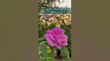 (أذكار الصباح) حالات واتس اب 🌹🌹