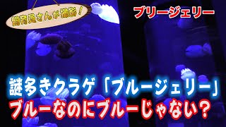 動きが速いのなぜ！？赤紫とか白とかなんで？