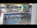 プール参観