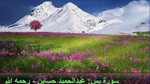 سورة يس : عبدالحميد حساين - رحمه الله