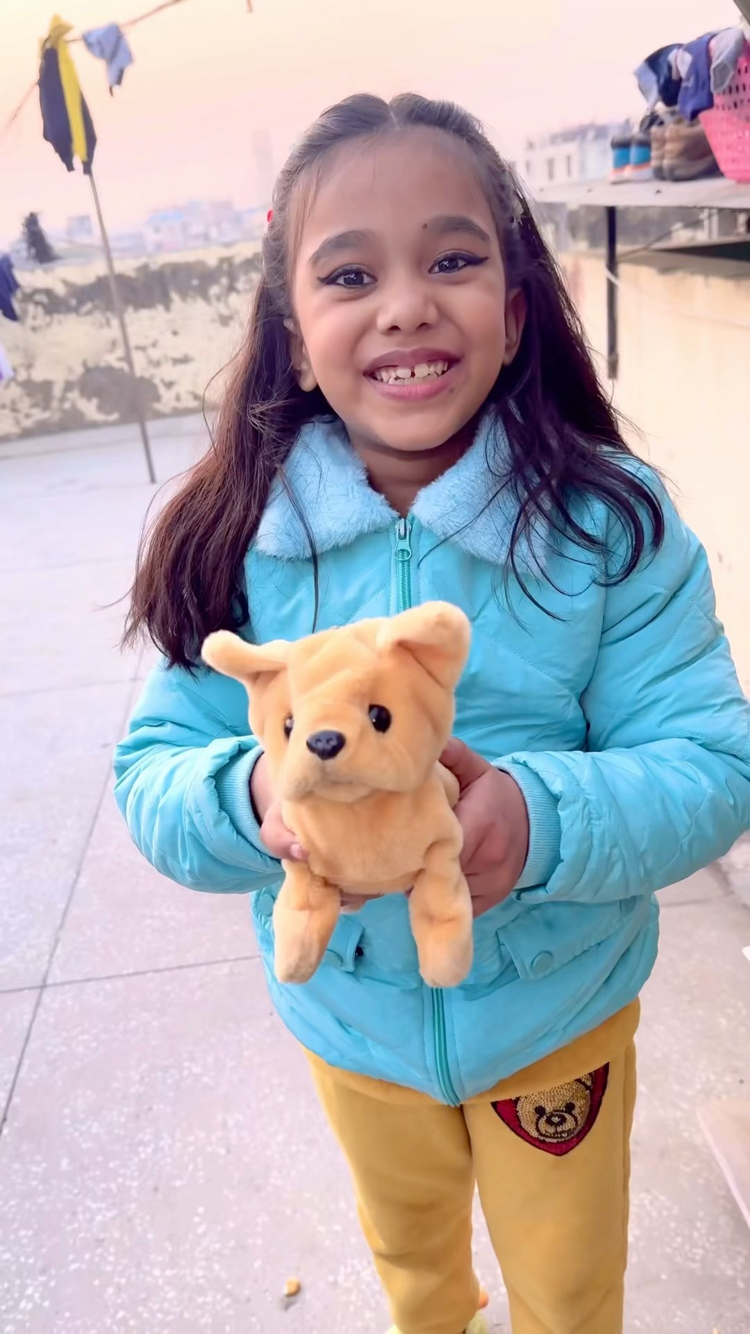 amaira ko mila cute puppy ?? #shorts #thegeetagurjar