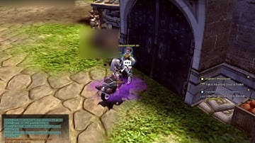 Dragon Nest Inventory/Shared Storage Bug