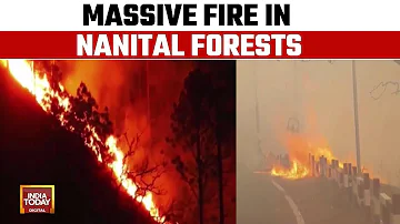 Massive Fire In Nainital Forests Disrupts Life, Choppers Deployed To Douse Fire