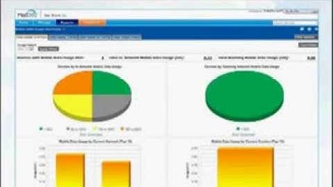 Controlling Mobile Data Expenses - Mobile and Telecom Expense Management