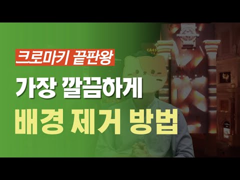 영상 배경 없애는 방법 크로마키 확실하게 하는 유튜브 스트리머 필수템 엘가토 그린스크린XL 