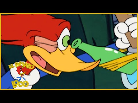 El Pajaro Loco
