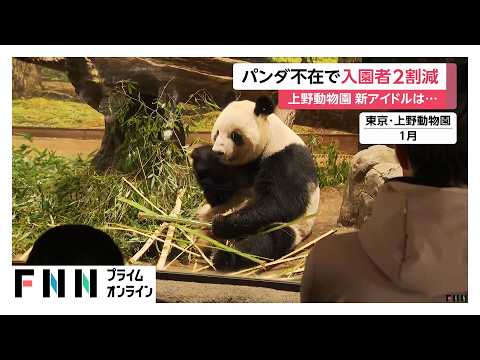 パンダ返還後に上野動物園の入園者が前年比2割減少　「客寄せパンダ」ならぬ「動かない鳥」をファン獲得の目玉に（2026年09月29日）