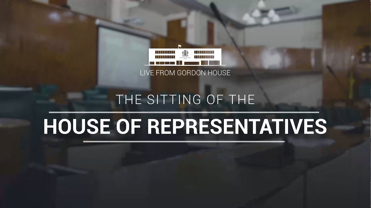 sitting-of-the-house-of-representatives-oct-8-2024-youtube