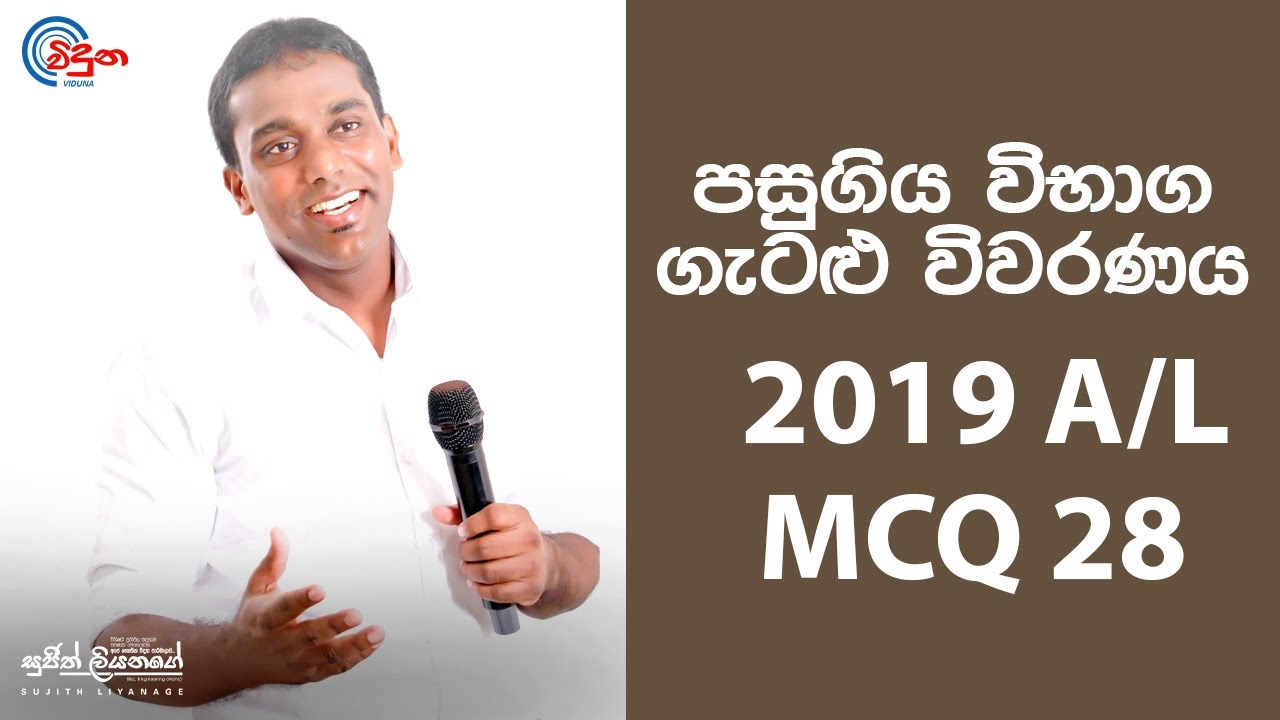 G.C.E. A/L Physics 2019 (Question 28) | භෞතික විද්‍යාව පසුගිය විභාග ගැටළු විවරණය