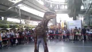 Baby T-Rex in Bangkok#part2.3gp