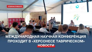 Связи Крыма и стран Средиземноморья обсуждают исследователи в «Херсонесе Таврическом»