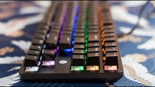 Hp Gk200 Tkl Mechanical Gaming Keyboard Unboxing, Review Settings