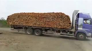 UNLOADING TIMBER FROM THE CONTAINER