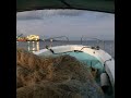 石垣島モズク養殖