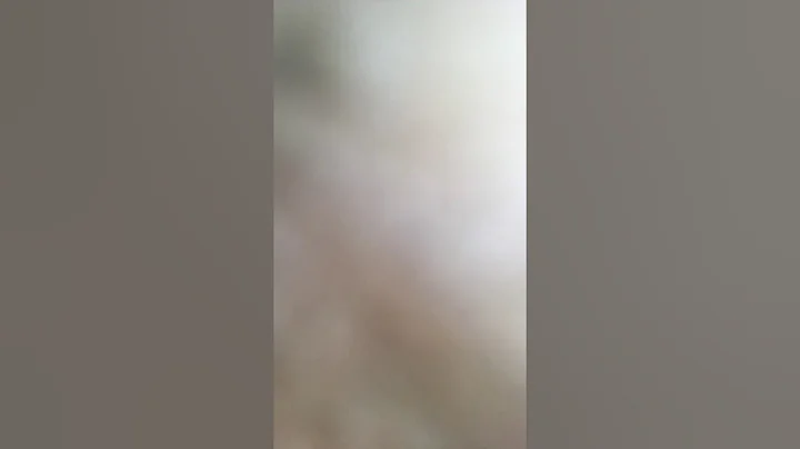 QRI-6 Word List Level 6