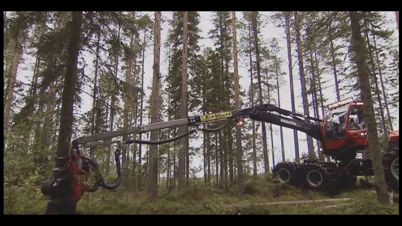 Лесная техника камаз