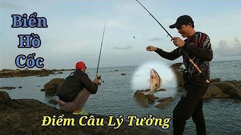 Câu Cá Biển Hồ Cốc - Vũng Tàu l Bãi Câu Đẹp Và Nhiều Cá Rất Hấp Dẫn l Nghiệp Vũng Tàu Vlog #75