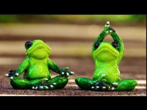 SP. RAJA KODOK 9.9, HARGA 5.500.000 || Download Gratis