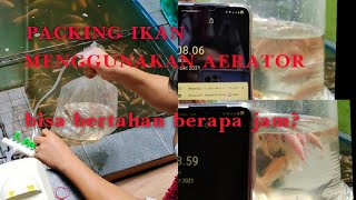 packing ikan tanpa tabung oksigen