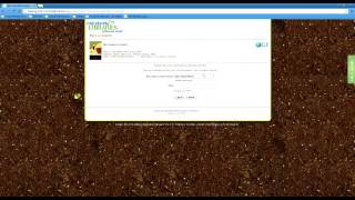 Evaluating Library Resources