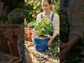 🔥 DIY Magic! She Made a Luxury Planter From Scratch 😍🌿 #DIY #Shorts #Viral