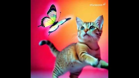 PixVerse V5 Image Text 360P