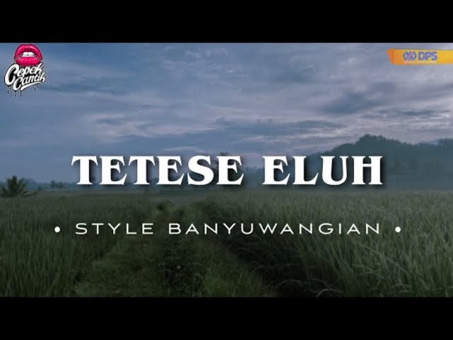DJ TETESE ELUH • STYLE BANYUWANGIAN • SLOWBASS • class=