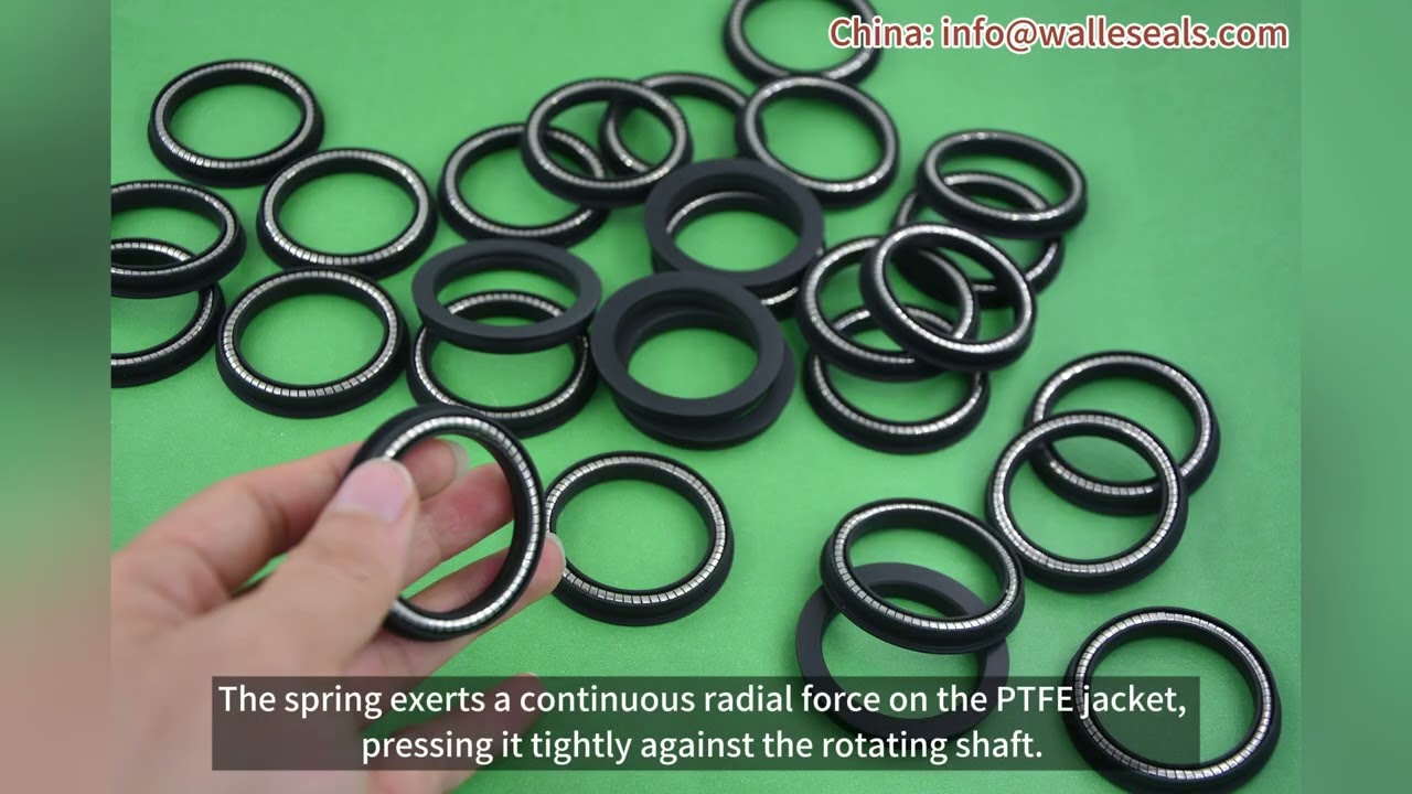 Working Principle of Rotary Spring Energized Seals