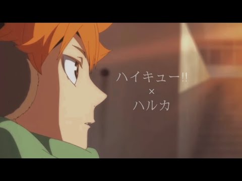 【MAD】ハイキュー×ハルカ『最強のライバル＝最強の仲間』