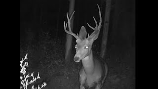Poudre Canyon, Colorado Game Cam videos from June-December, 2022