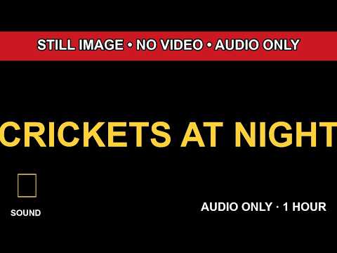 1 Hour CRICKETS AT NIGHT Black Screen Audio Only HD