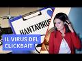 Il Punto [2] - Hantavirus: il virus del clickbait