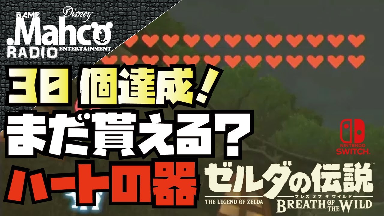 ゼルダの伝説 ハートの器31個以上貰おうとしたらどうなる ゼルダの