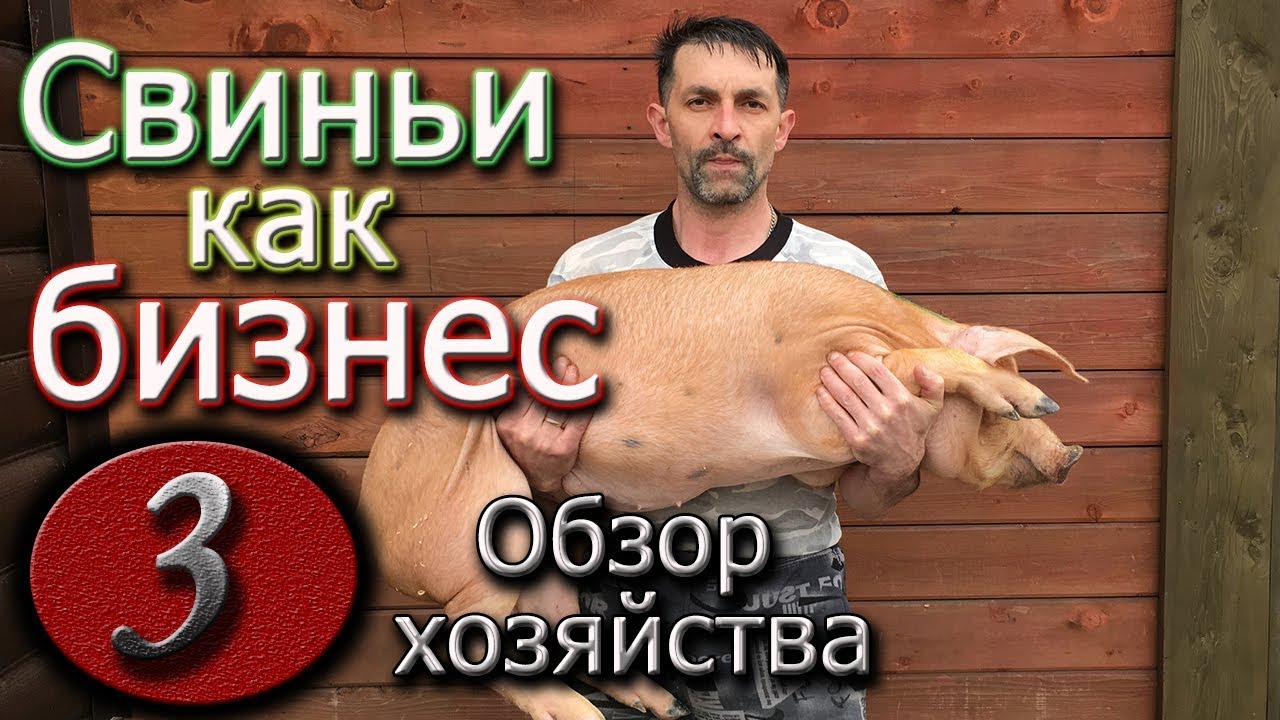 МОЕ ФЕРМЕРСКОЕ ХОЗЯЙСТВО