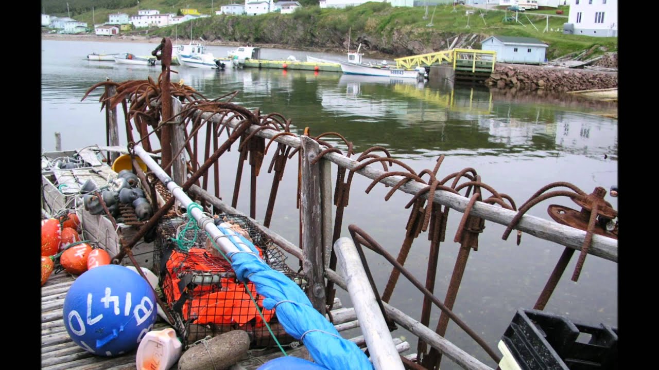 Salt Water Joys with photos from Fortune Bay Newfoundland YouTube