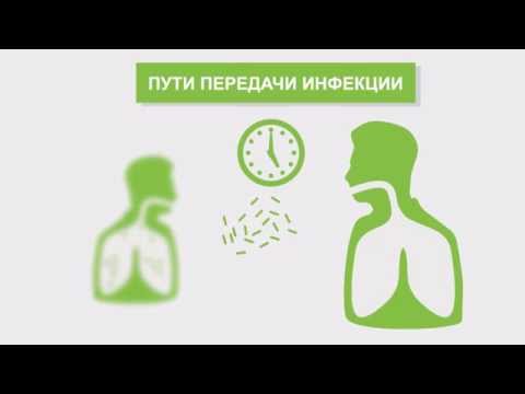 Инфекционный контроль туберкулёза
