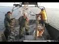 MULLET FISHING WITH GILLNET2007 part3